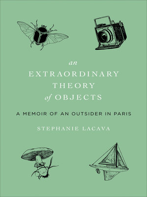 cover image of An Extraordinary Theory of Objects